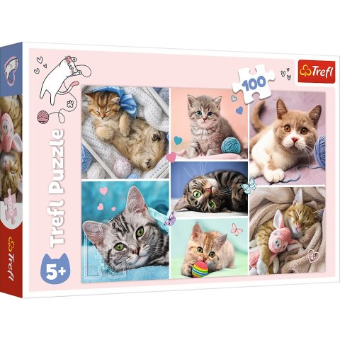 Puzzle - 100 - W kocim świecie - Trefl 16420 Puzzle - 100 - W kocim świecie - Trefl 16420