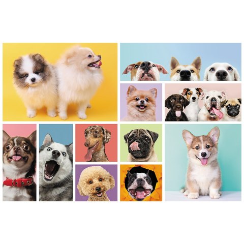 Puzzle - 160 - Psia przyjaźń - Trefl 15412 Puzzle - 160 - Psia przyjaźń - Trefl 15412
