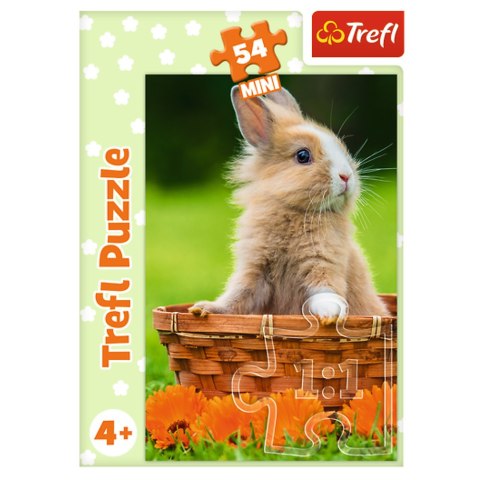 Puzzle - 54 mini - Urocze zwierzątka - Trefl 54195 Puzzle - 54 mini - Urocze zwierzątka - Trefl 54195