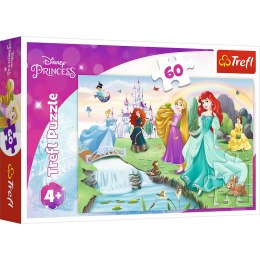 Puzzle - 60 - Poznaj Księżniczki - Disney Princess Trefl 17361