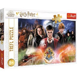 Puzzle Harry Potter 300 el. Tajemniczy Harry Potter 23001