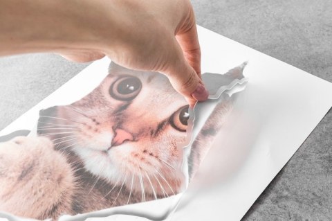 Naklejka KOT 3D Naklejka KOT 3D