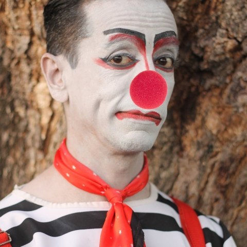 Nosek Clowna Nosek Clowna